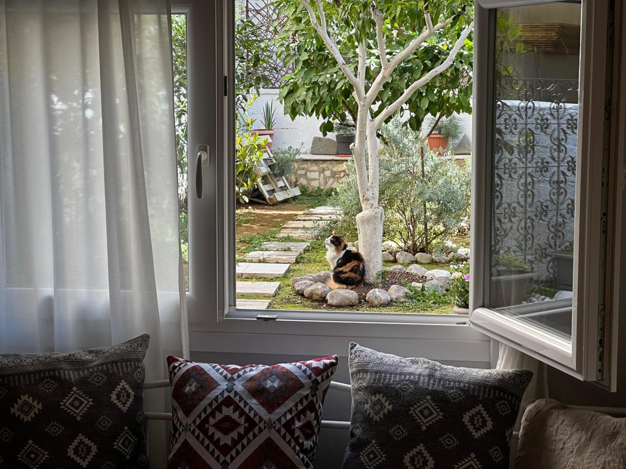 Νόστος Στο Κέντρο Των Ιωαννίνων Apartman Joánina Kültér fotó